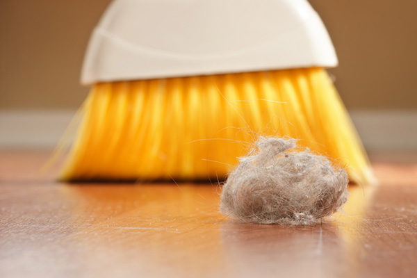 Reduce indoor dust and dirt